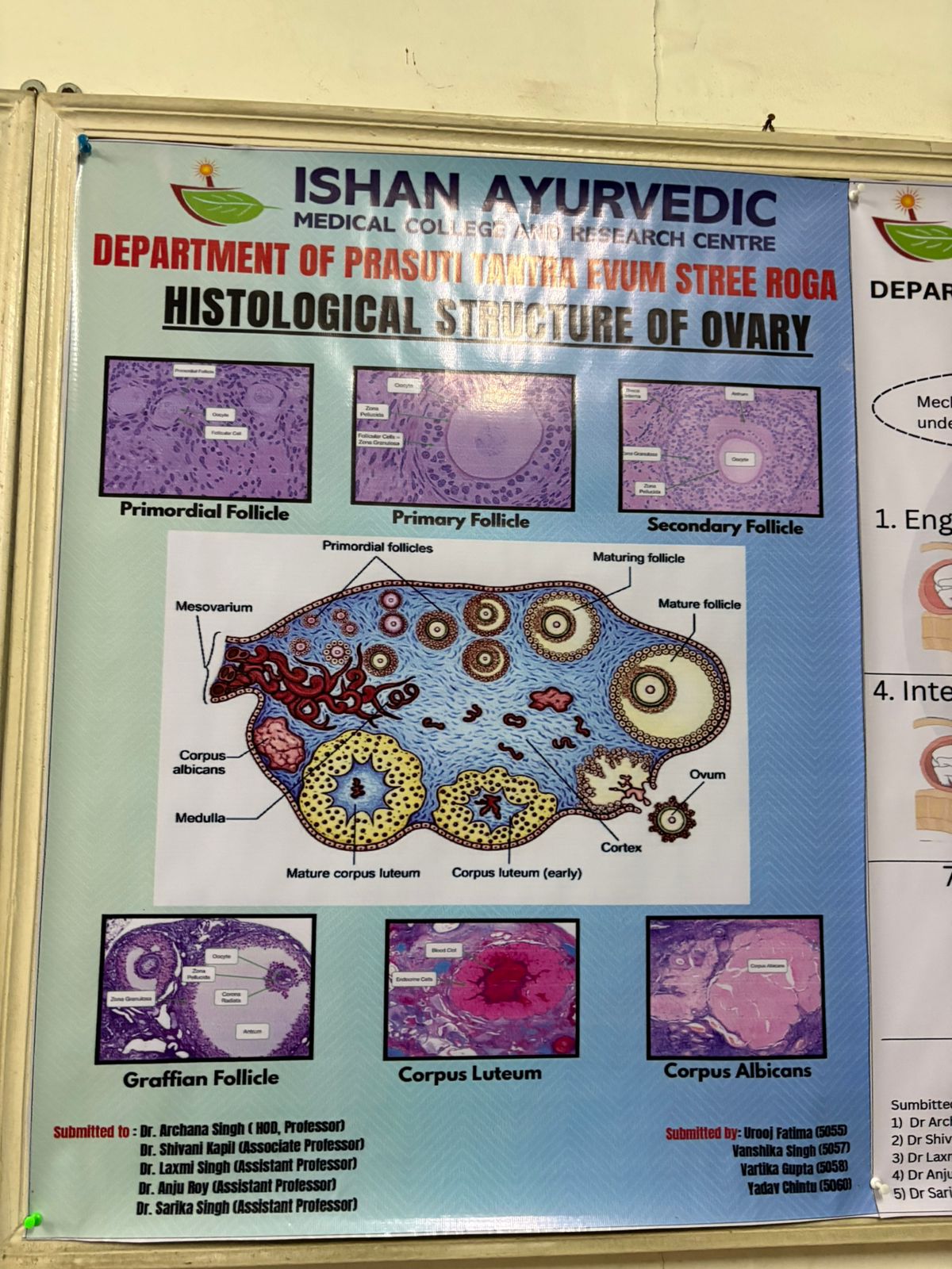 Department of Prasuti Tantra & Stree Roga - Lab 3